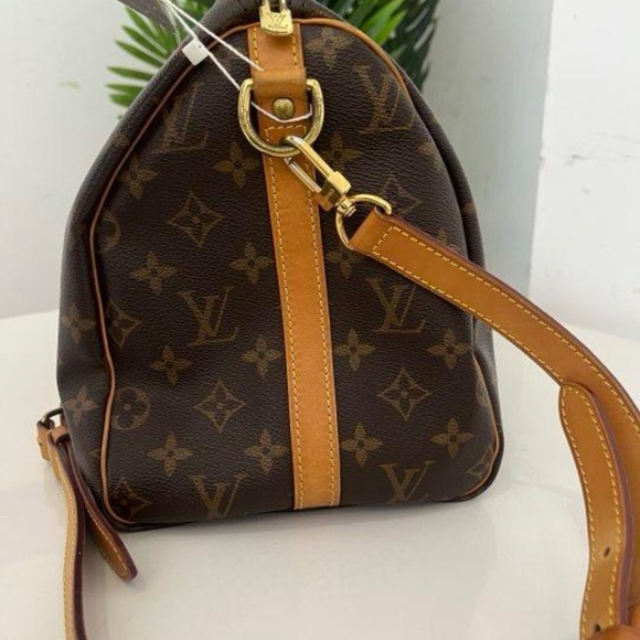 Pre-owned Louis Vuitton Speedy 30 canvas - Picture 2 of 6